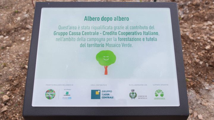 ISCHITELLA - Parco del Gargano, Il Bosco Cassa Centrale - immagine 7